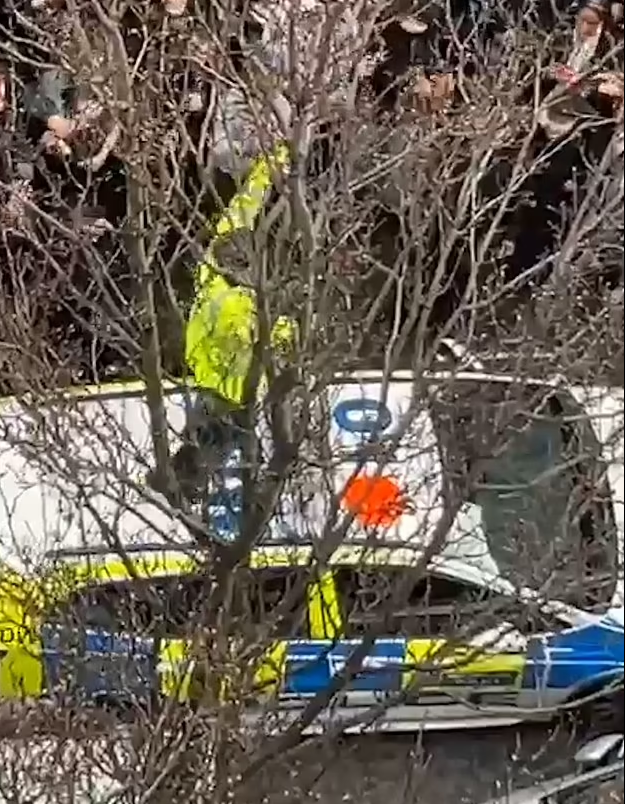 Moment Gen Z youths climb onto police car roof as crowds yell 'f*** the feds' during chaos in London street.